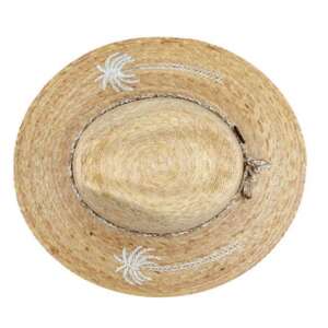 Sunkissed Palmera